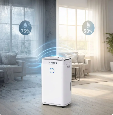 OL20-BD030AMN OLEFINI NEM ALMA 20 LİTRE